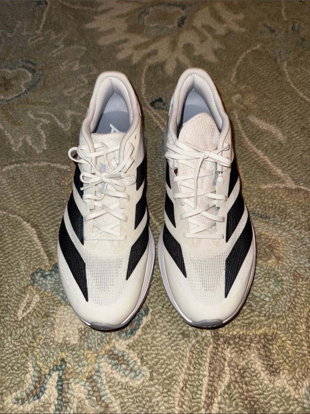 adidas Adizero Evo SL running shoe Women’s BRAND NEW NEVER WORN